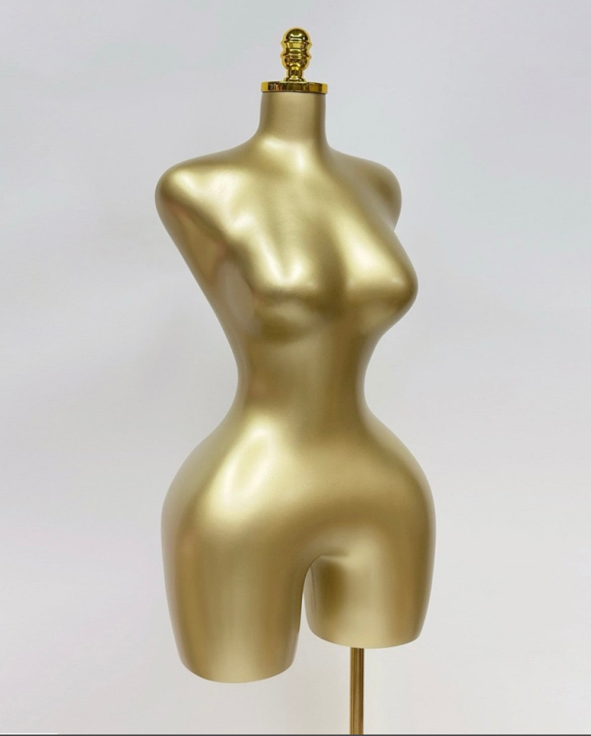 Bbl Mannequin 3-4 Weeks