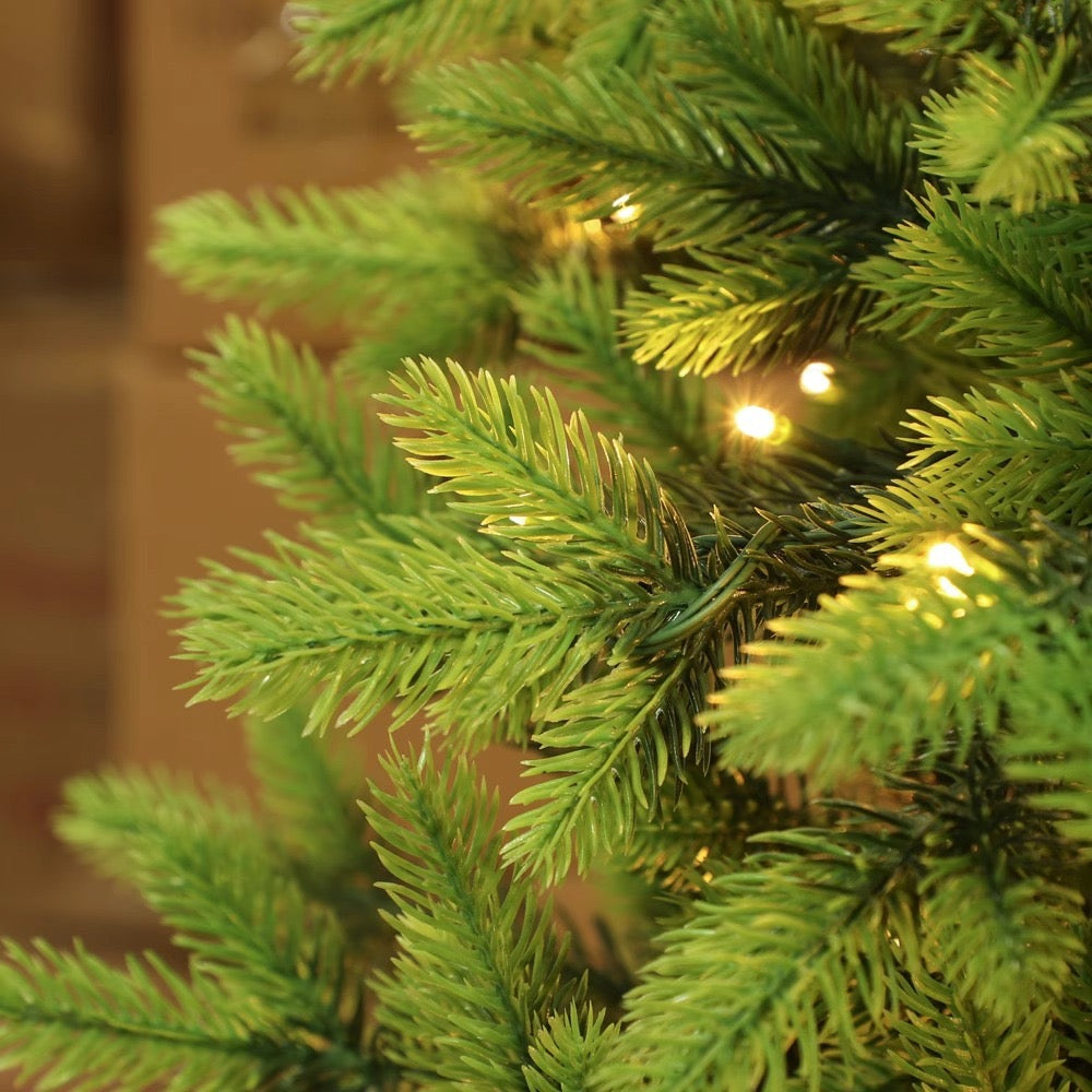 PE Christmas Tree + Light