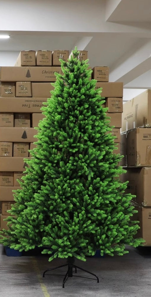 Christmas Decor