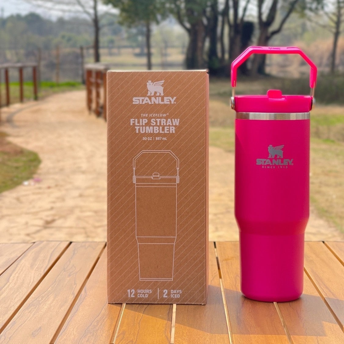 Stanley tumbler