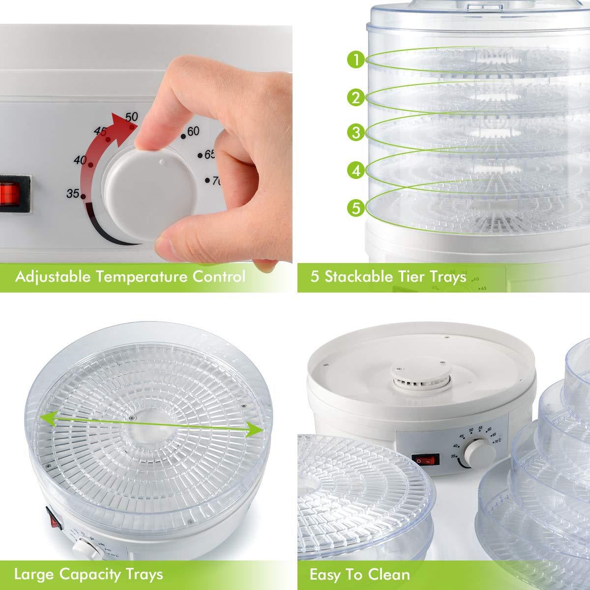 5 Layer Food Dehydrator